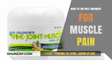 Effective Muscle Pain Relief: Top Ointments to Ease Discomfort Fast