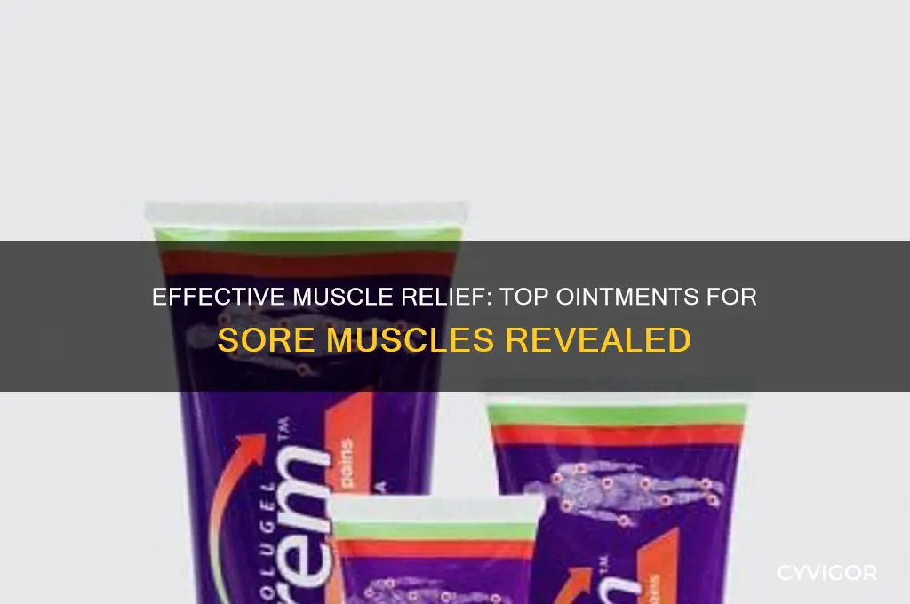 what is the best ointment for sore muscles