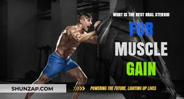 Top Oral Steroids for Muscle Gain: Benefits and Risks Explained