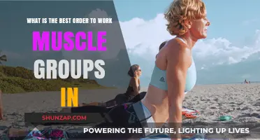 Optimal Muscle Group Workout Order: Maximize Gains, Minimize Fatigue