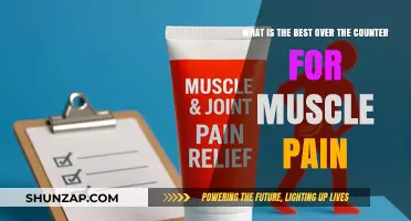 Top OTC Muscle Pain Relief Options: What Works Best?