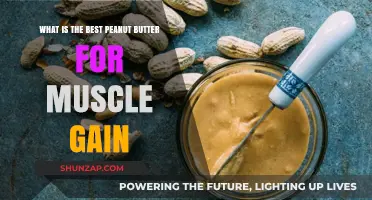 Top Peanut Butter Picks for Muscle Gain and Recovery