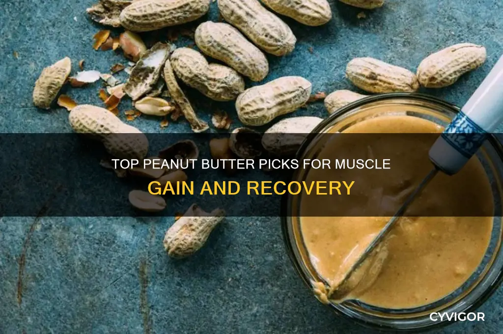 what is the best peanut butter for muscle gain