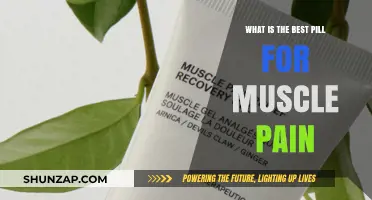 Effective Muscle Pain Relief: Top Pills to Ease Discomfort Fast