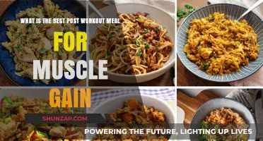 Fuel Your Gains: Top Post-Workout Meals for Muscle Growth