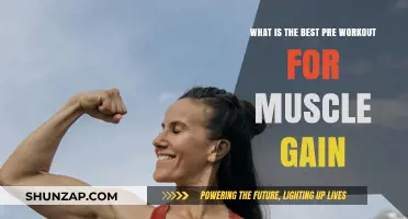 Top Pre-Workout Supplements to Maximize Muscle Gain Effectively