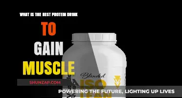 Top Protein Drinks for Effective Muscle Gain and Recovery