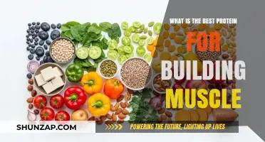Unlocking Muscle Growth: The Ultimate Guide to Protein Sources