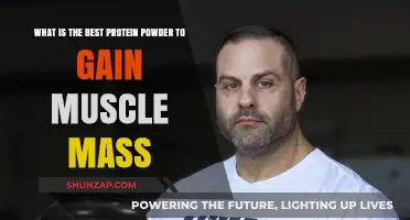 Top Protein Powders for Effective Muscle Mass Gain: Expert Picks