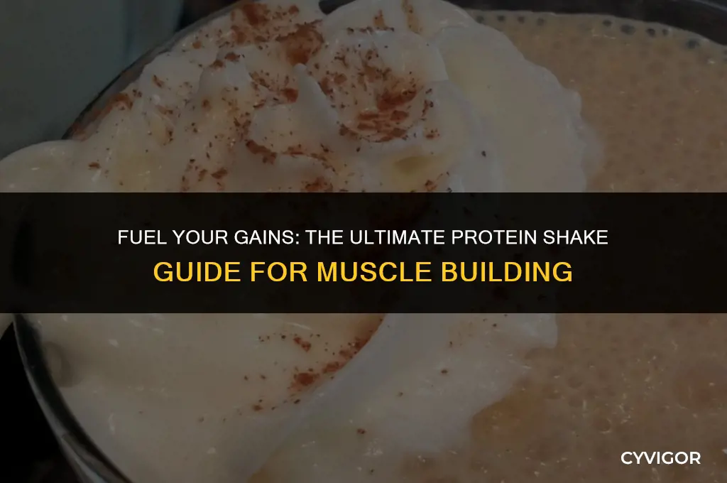 what is the best protein shake to build muscle