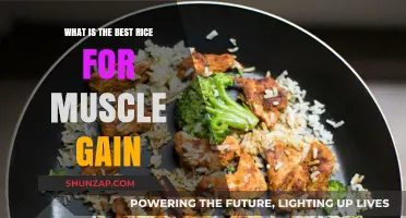 Fuel Your Gains: Top Rice Varieties for Muscle Building