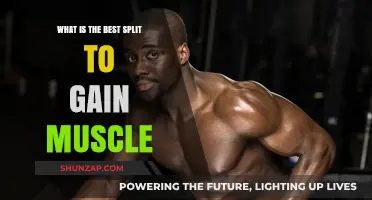 Optimal Muscle Gain: The Best Workout Split Strategy Revealed