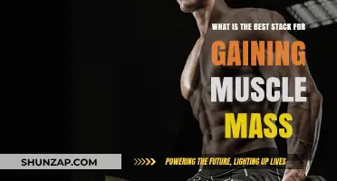 Optimal Muscle Mass Gain: Top Stack Strategies for Strength and Size