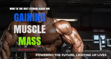 Effective Steroid Stacks for Maximizing Muscle Mass Gains Safely
