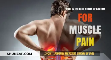 Effective Kratom Strains for Muscle Pain Relief: Top Picks