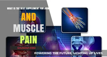 Top Supplements for Relieving Joint and Muscle Pain Effectively