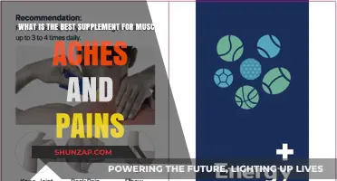 Top Supplements to Relieve Muscle Aches and Pains Effectively