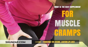 Top Supplements to Relieve Muscle Cramps: A Comprehensive Guide