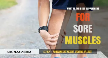 Top Supplements to Relieve Sore Muscles After Intense Workouts