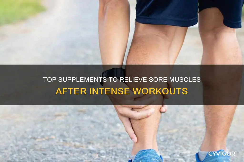 what is the best supplement for sore muscles