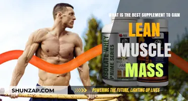 Top Supplements for Building Lean Muscle Mass Effectively