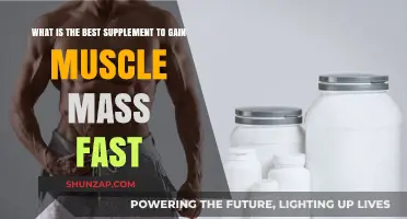 Top Muscle-Building Supplements for Rapid Mass Gain Results