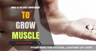 Top Muscle-Building Supplements: What Works Best for Growth?