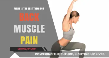 Effective Remedies for Relieving Back Muscle Pain: Expert Tips and Solutions