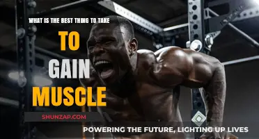 Top Muscle-Building Supplements: What Works Best for Gains?