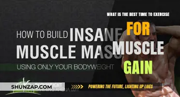 Optimal Workout Timing for Maximizing Muscle Growth and Strength