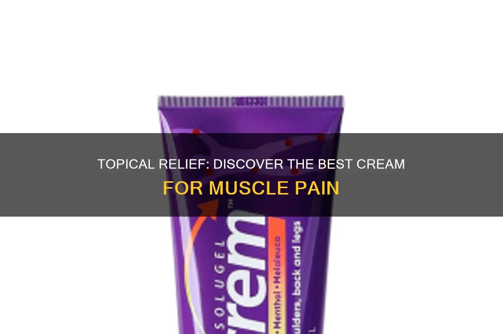 what is the best topical cream for muscle pain