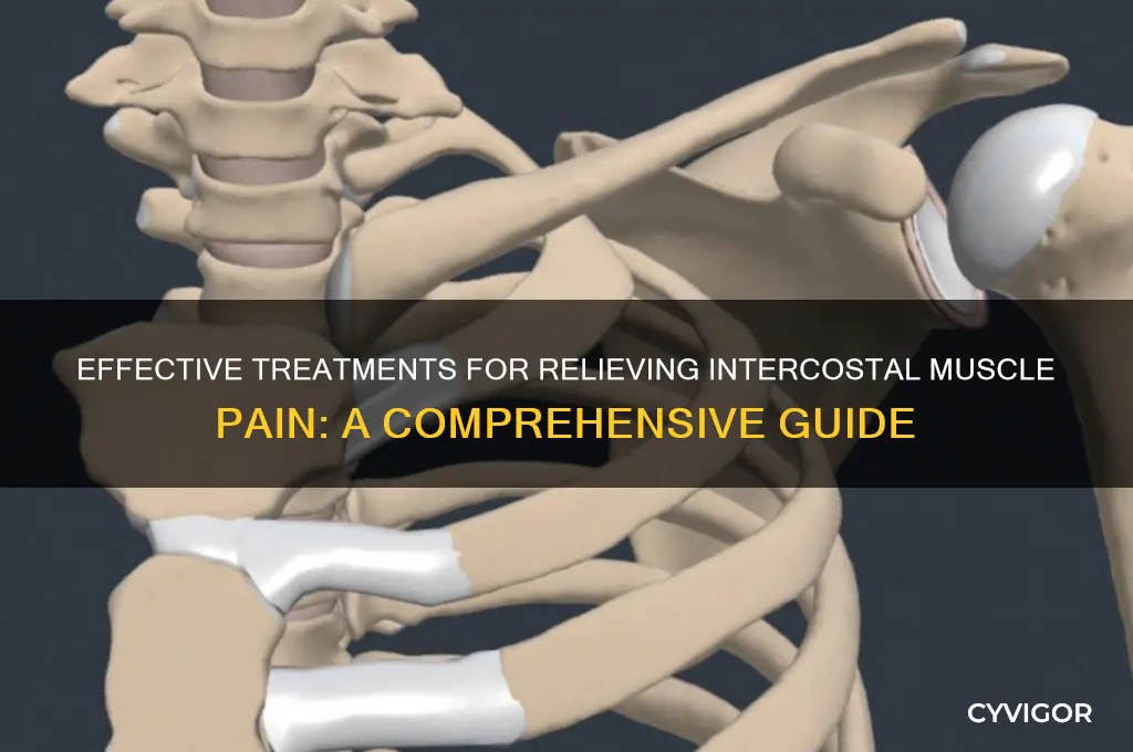 what is the best treatment for intercostal muscle pain