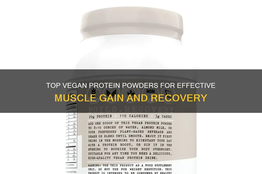 what is the best vegan protein powder for muscle gain