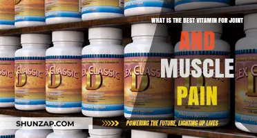 Top Vitamins to Relieve Joint and Muscle Pain Effectively