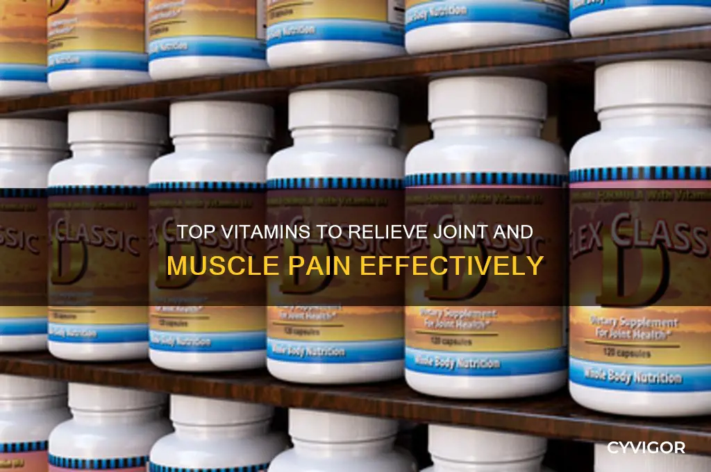 what is the best vitamin for joint and muscle pain