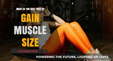 Effective Strategies for Maximizing Muscle Growth and Size Naturally