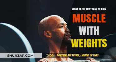 Effective Weight Training Strategies for Optimal Muscle Growth and Strength