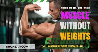 Effective Bodyweight Strategies for Building Muscle Without Weights