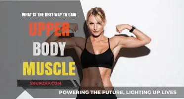 Effective Strategies for Building Upper Body Muscle Mass Quickly
