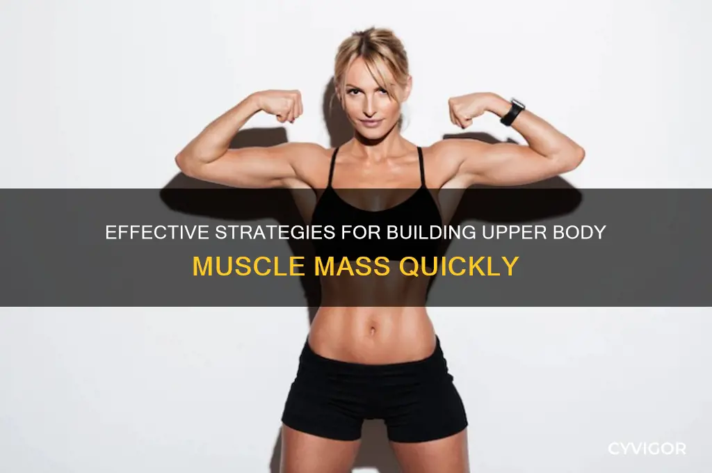 what is the best way to gain upper body muscle