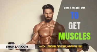 Building Muscle: The Ultimate Guide to Effective Strength Training