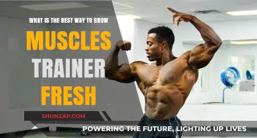 Effective Muscle Growth Strategies for New Trainers: A Comprehensive Guide