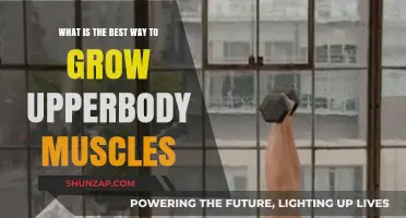 Effective Upper Body Muscle Growth: Proven Strategies for Strength and Size