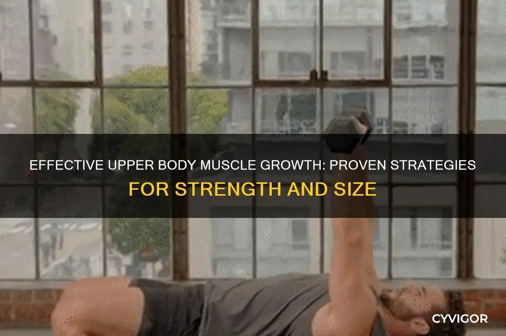 what is the best way to grow upperbody muscles
