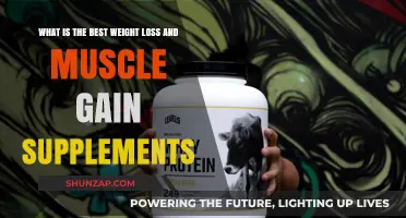 Top Supplements for Effective Weight Loss and Muscle Gain
