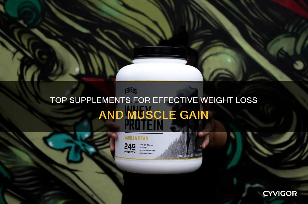 what is the best weight loss and muscle gain supplements