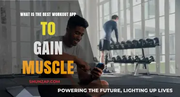 Top Muscle-Building Workout Apps for Effective Strength Training