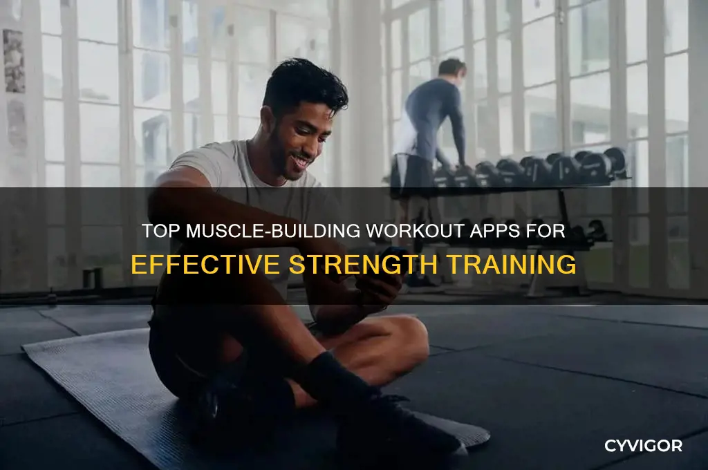 what is the best workout app to gain muscle
