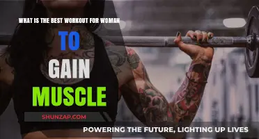 Effective Muscle-Building Workouts for Women: Strength Training Essentials