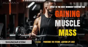 Effective Muscle-Building Workout Routine for Maximum Mass Gain